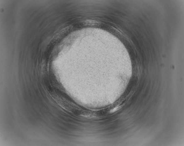 X0000080110557200701051332