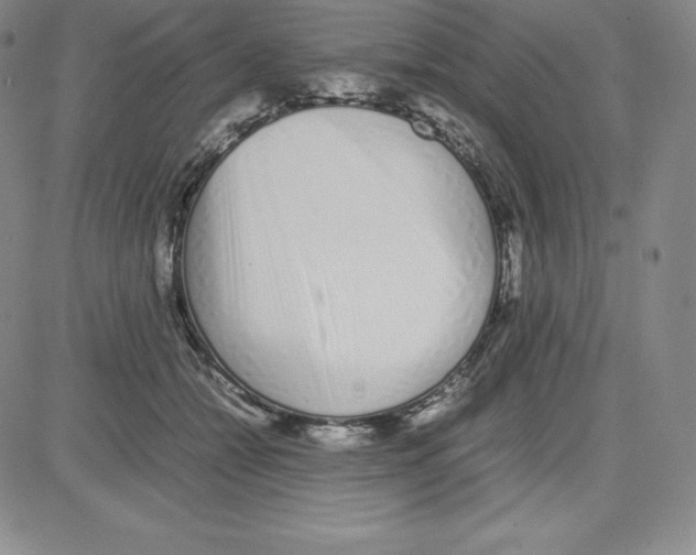 X0000080110558200701051332