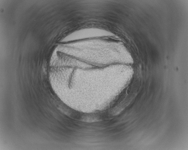 X0000080110561200701051332