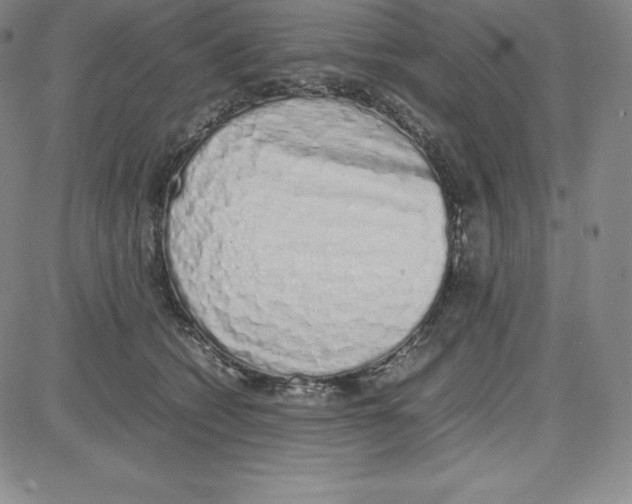 X0000080110562200701051332