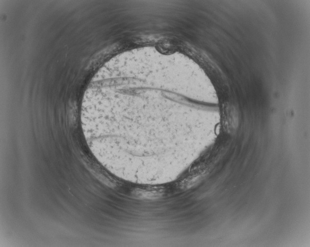 X0000080110563200701051332