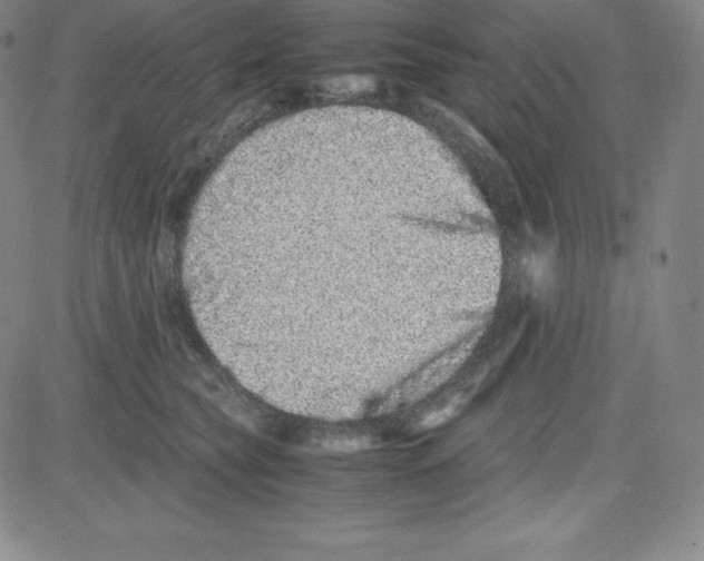 X0000080110565200701051332