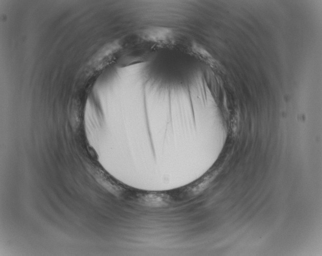 X0000080110566200701051332