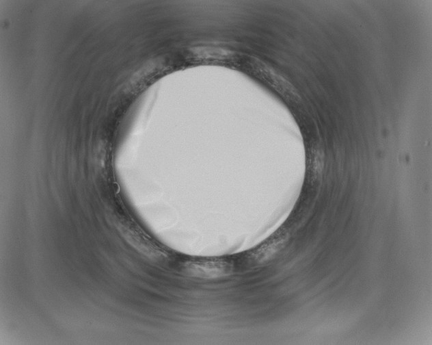 X0000080110567200701051332