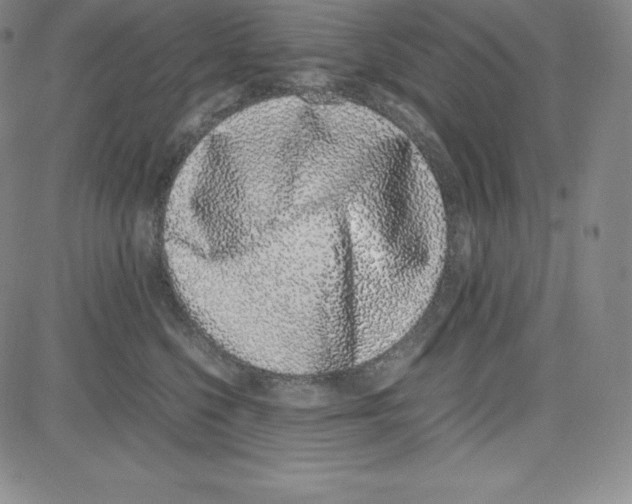 X0000080110568200701051332