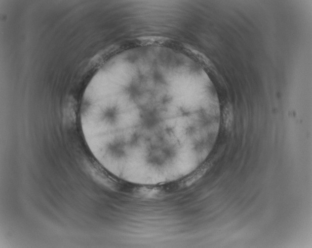 X0000080110570200701051332