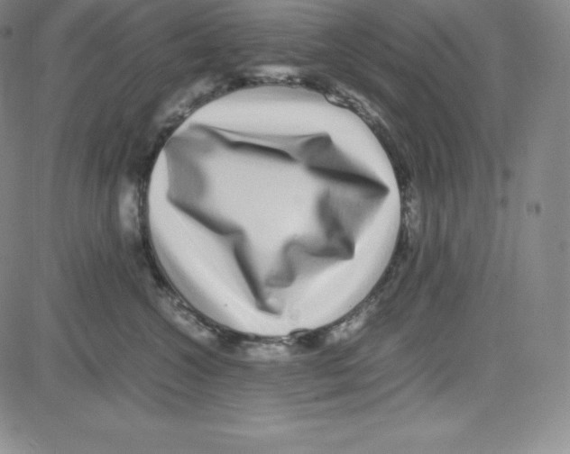 X0000080110572200701051332