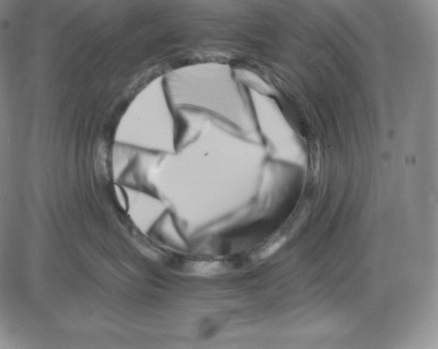 X0000080110575200701051332