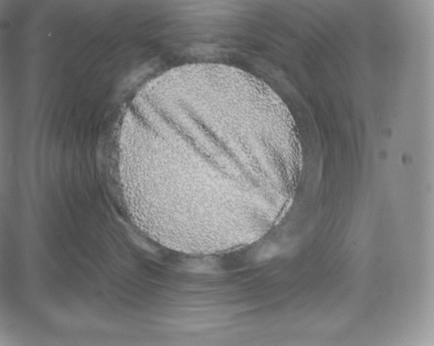 X0000080110576200701051332