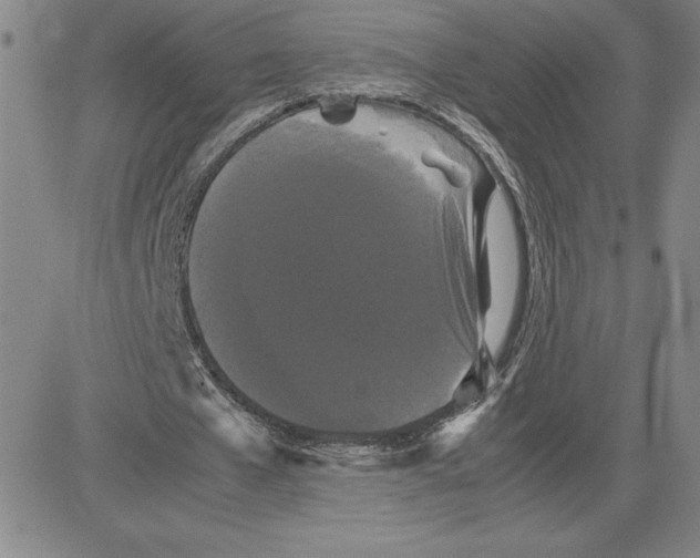 X0000080110577200701051332