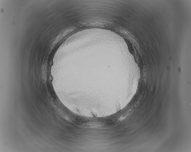 X0000080110578200701051332