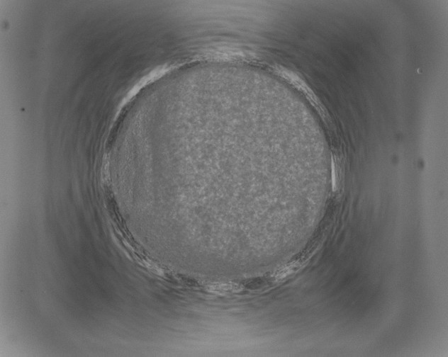 X0000080110579200701051332