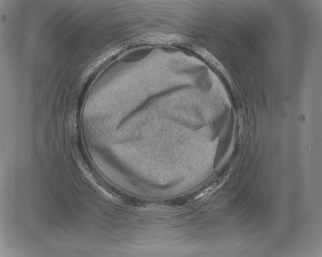 X0000080110581200701051332