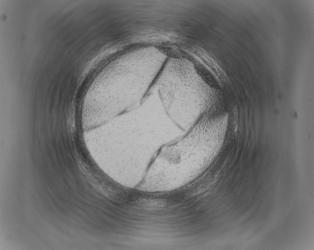 X0000080110582200701051332