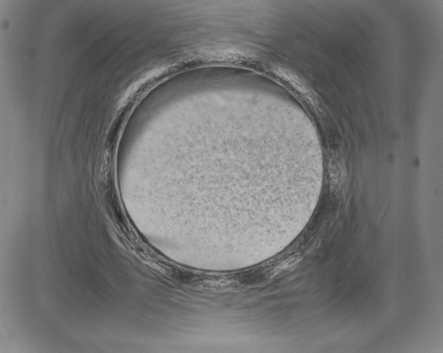 X0000080110583200701051332