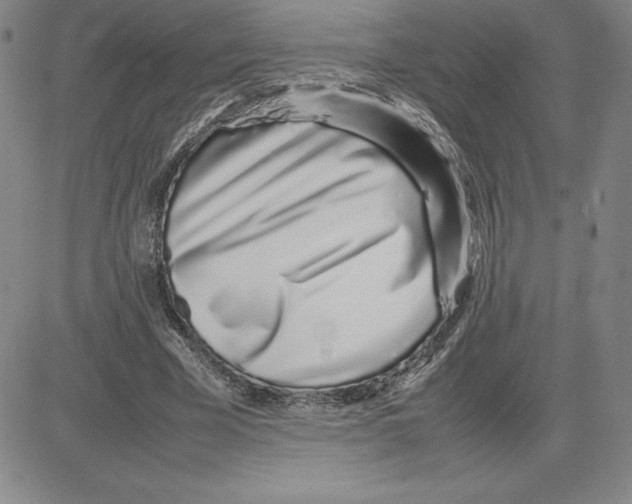 X0000080110585200701051332