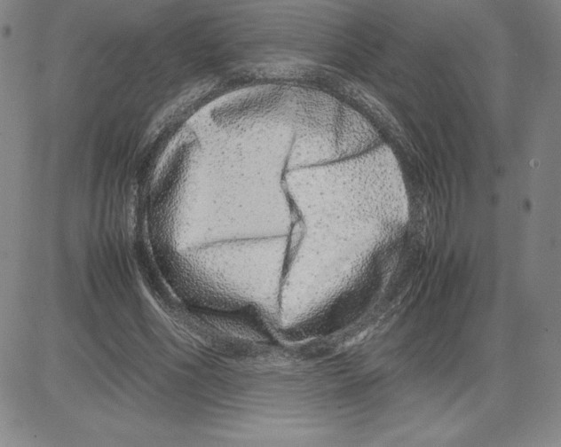 X0000080110586200701051332