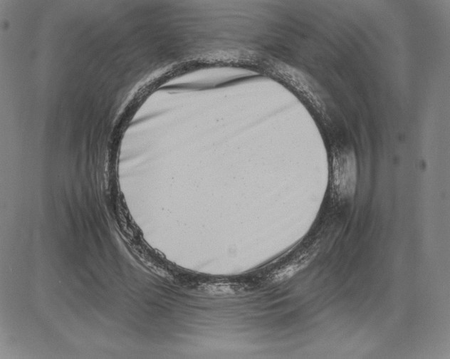 X0000080110588200701051332