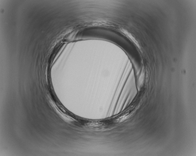 X0000080110589200701051331