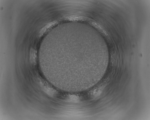 X0000080110592200701051331