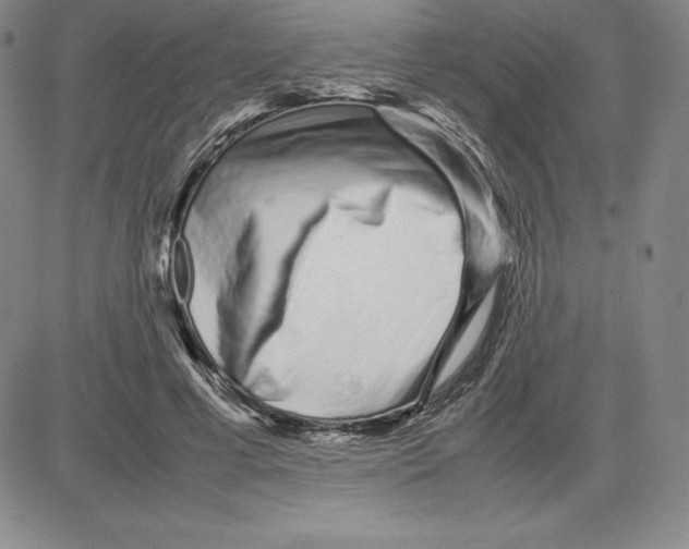 X0000080110593200701051331