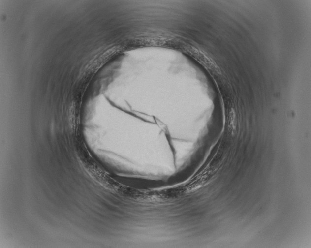 X0000080110594200701051331