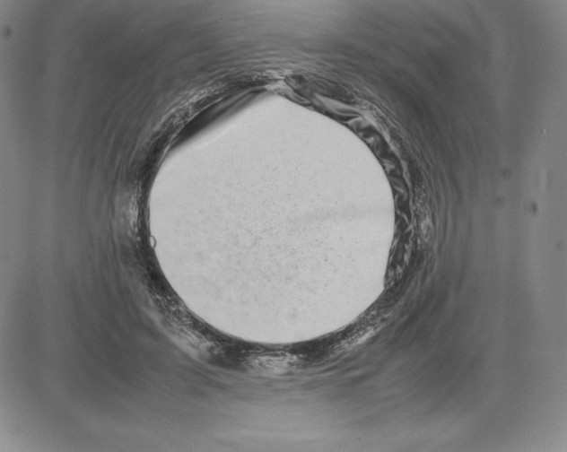 X0000080110595200701051331