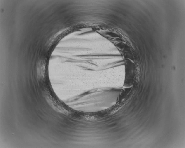 X0000080110596200701051331