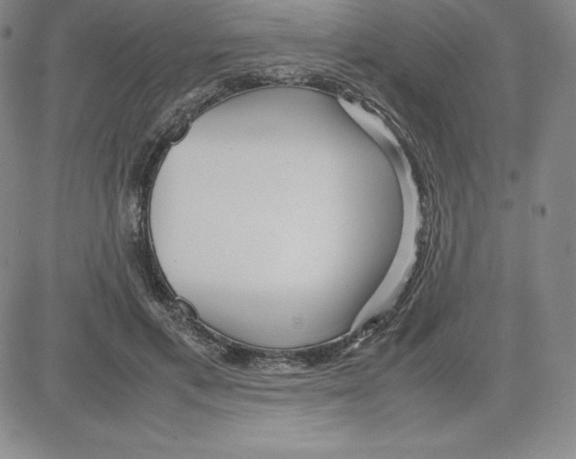 X0000080110597200701051331