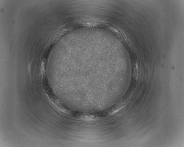 X0000080110598200701051331