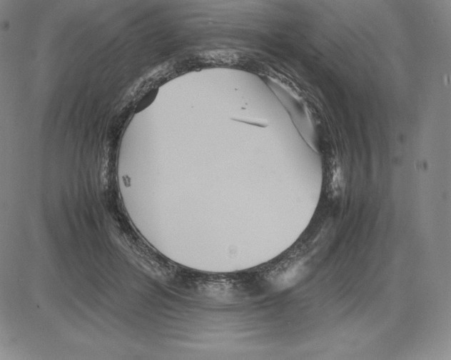 X0000080110600200701051331