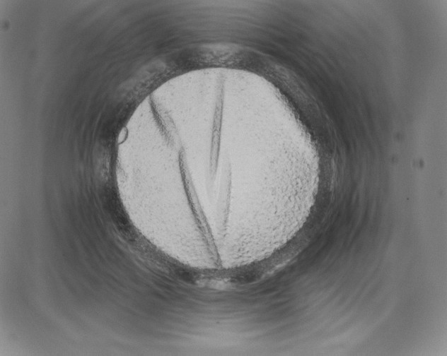 X0000080110602200701051331