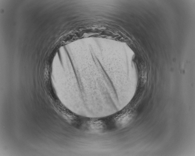 X0000080110603200701051331