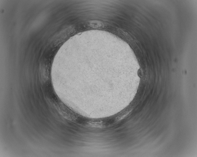 X0000080110606200701051331