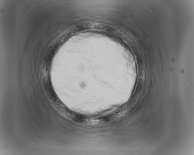 X0000080110607200701051331