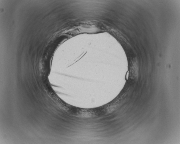 X0000080110608200701051331