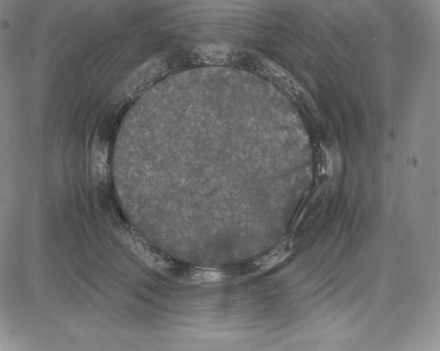 X0000080110610200701051331