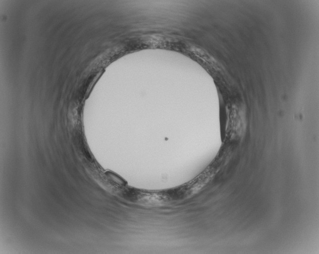 X0000080110611200701051331