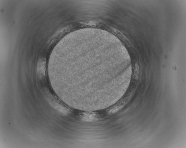 X0000080110612200701051331