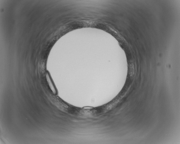 X0000080110613200701051331