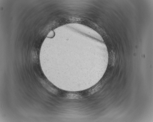 X0000080110614200701051331