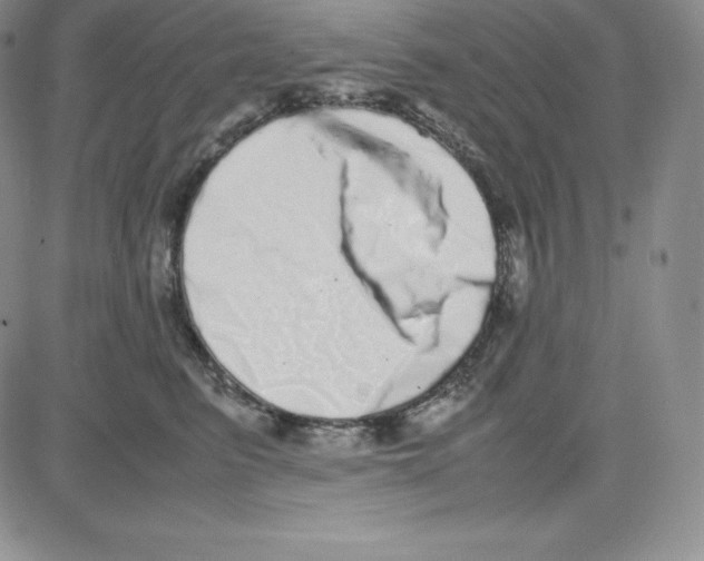 X0000080110615200701051331