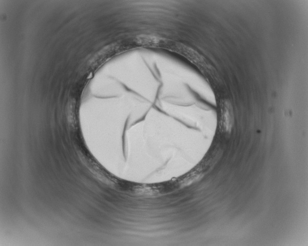 X0000080110616200701051331