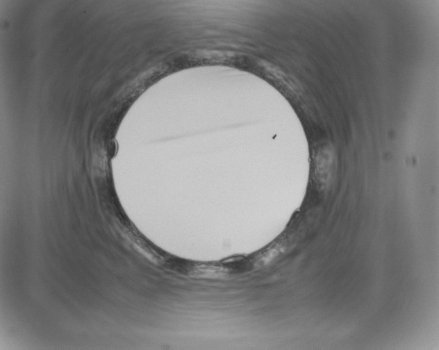 X0000080110617200701051331