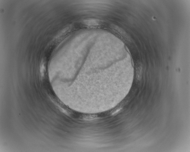 X0000080110618200701051331