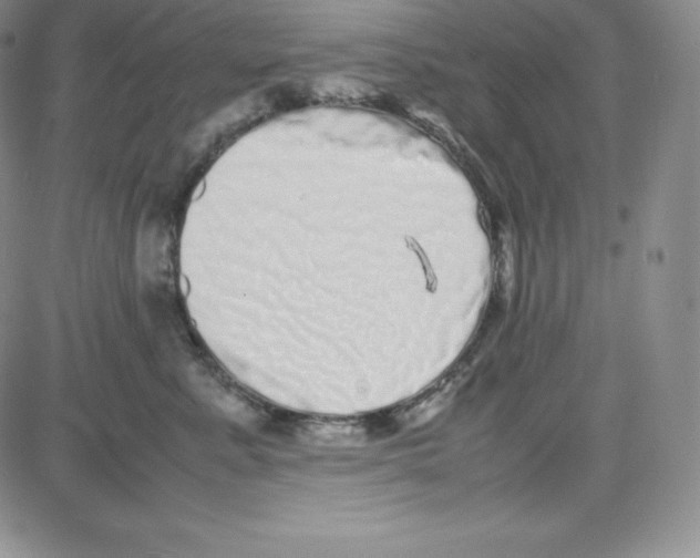 X0000080110619200701051331