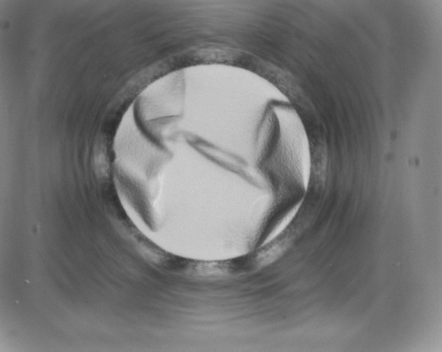 X0000080110622200701051331