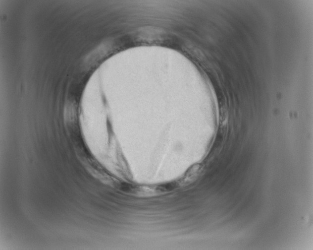 X0000080110623200701051331