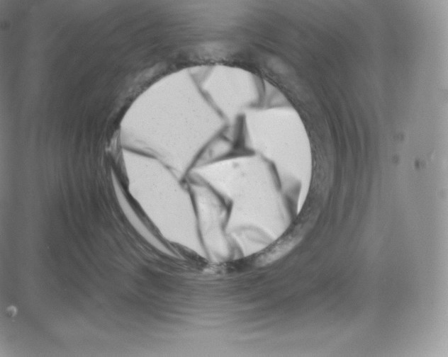 X0000080110624200701051331