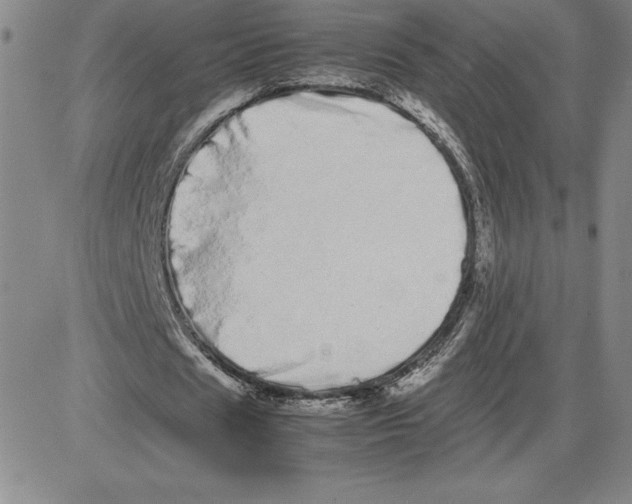 X0000080110625200701051330